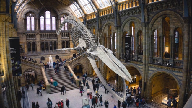 Natural History Museum